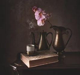Warm orchideeënstilleven