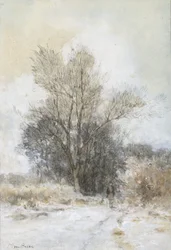 Wandelaar in de sneeuw bij de rand van een bos