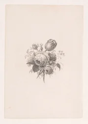 Boeket