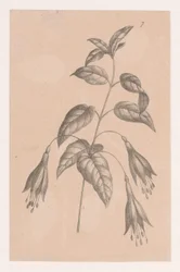 Tak met bloemen