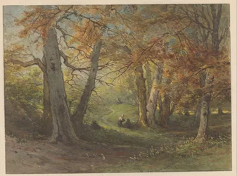 Bosgezicht bij Oosterbeek