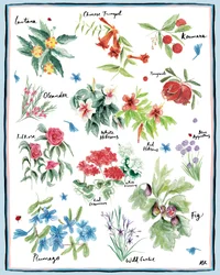 Mediterrane Tuin, 2019