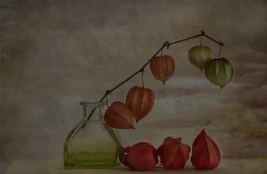 Rustige herfstlantaarns