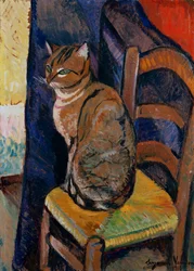 Studie van een Kat Zittend op een Stoel