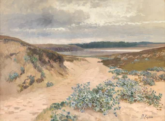 Duinlandschap in Bretagne