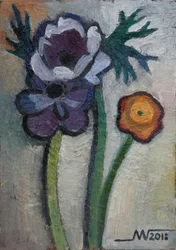 Kleurrijke tuinbloemen