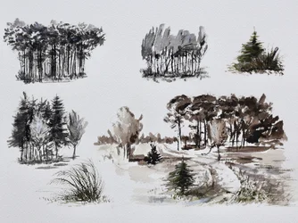 Studies van bosbomen