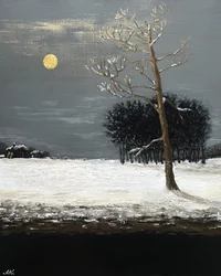 Gouden maan, winternacht