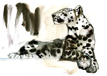 Arabische Luipaard, 2008