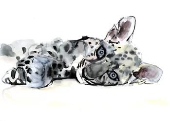 Arabische luipaardwelp, 2008