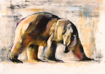 Arctisch, 1999