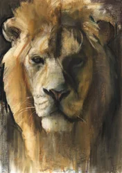 Aziatische leeuw, 2015, (pigment, pastel en conté op papier)