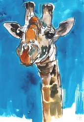 Blauwe Lucht Giraffe, 2018