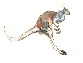 Boing, (Rode Kangoeroe)