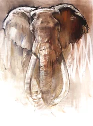 Stier Olifant