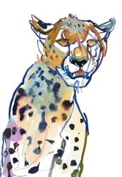 Chyulu Cheetah, 2022