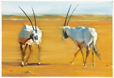 Cirkelende Arabische oryx, 2010