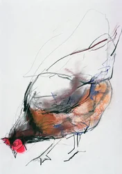 Voedende hen, Trasierra, 1998