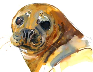 Gember pup, Westcove