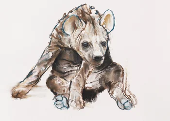 Hyena welp (hoofd naar beneden)