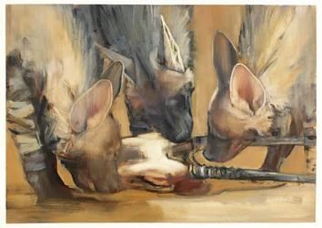 Pack Attack (Jonge gestreepte hyena