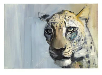 Predator (Arabische Luipaard), 2009