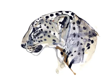 Profiel (Arabische luipaard), 2008