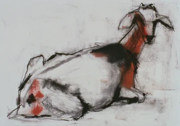 Zittende Geit, 1998