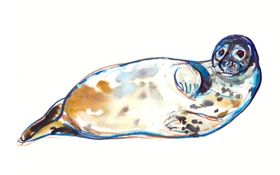 Senseal