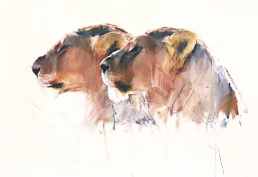 Zussen, Etosha, 2017