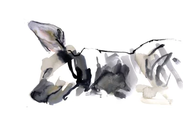 Slapende hyena, 2010