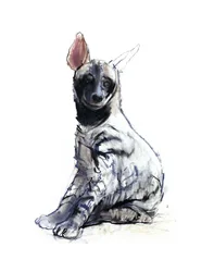 Gestreepte Hyena Pup (zittend), 2010