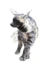 Gestreepte hyenapup, 2010