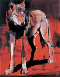 Zomerwolf, 2001