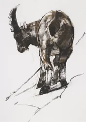 Zon, Crocheneville, 2005
