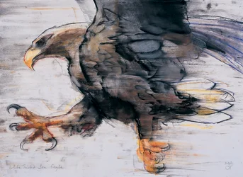 Klauwen - Witte zeearend, 2001
