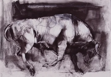 De Witte Stier (studie), 1998
