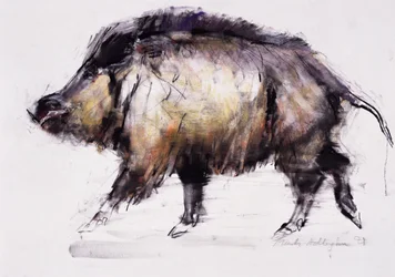 Wild Zwijn, 1999