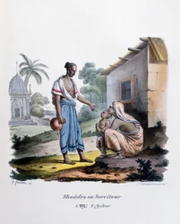 Dienaar
