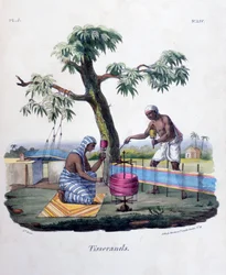 Wevers, 1828