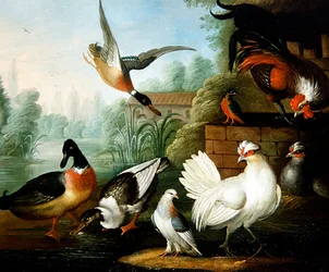Een Landschap met Kippen, Eenden en een IJsvogel