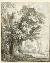 Landschap met een hoge boom