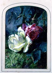 Rozen en een lieveheersbeestje op een mosrijke oever