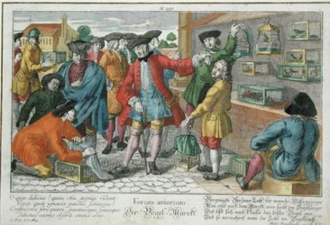 Vogelmarkt