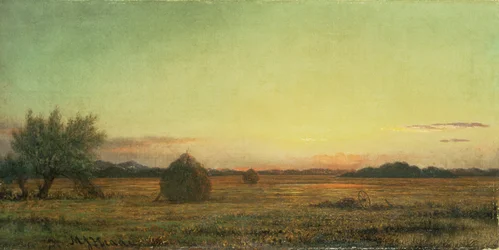 Jersey Weiden