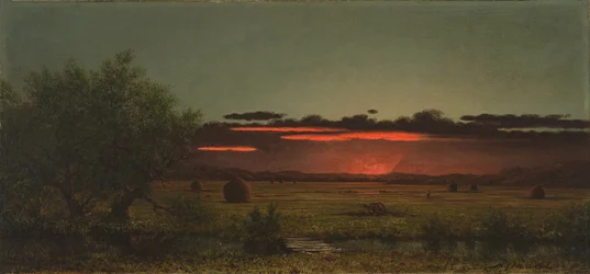 Weiden van New Jersey bij zonsondergang