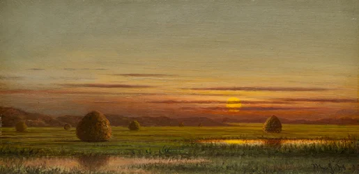 Moerasland
