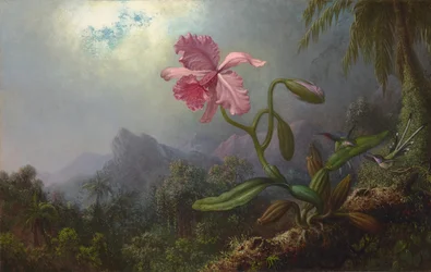 Twee kolibries met een orchidee 1875