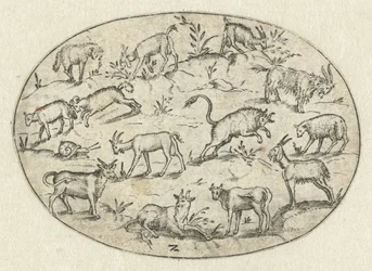 Ovaal met dertien geiten