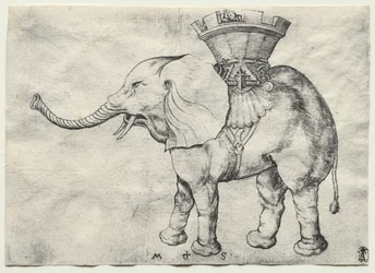 Een Olifant met Howdah